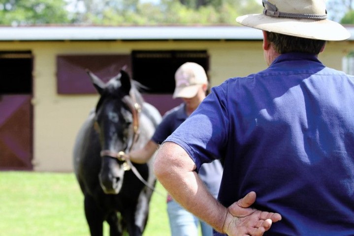 Adrenaline_Thoroughbreds_Stable_Visit_Meet_the_Horses