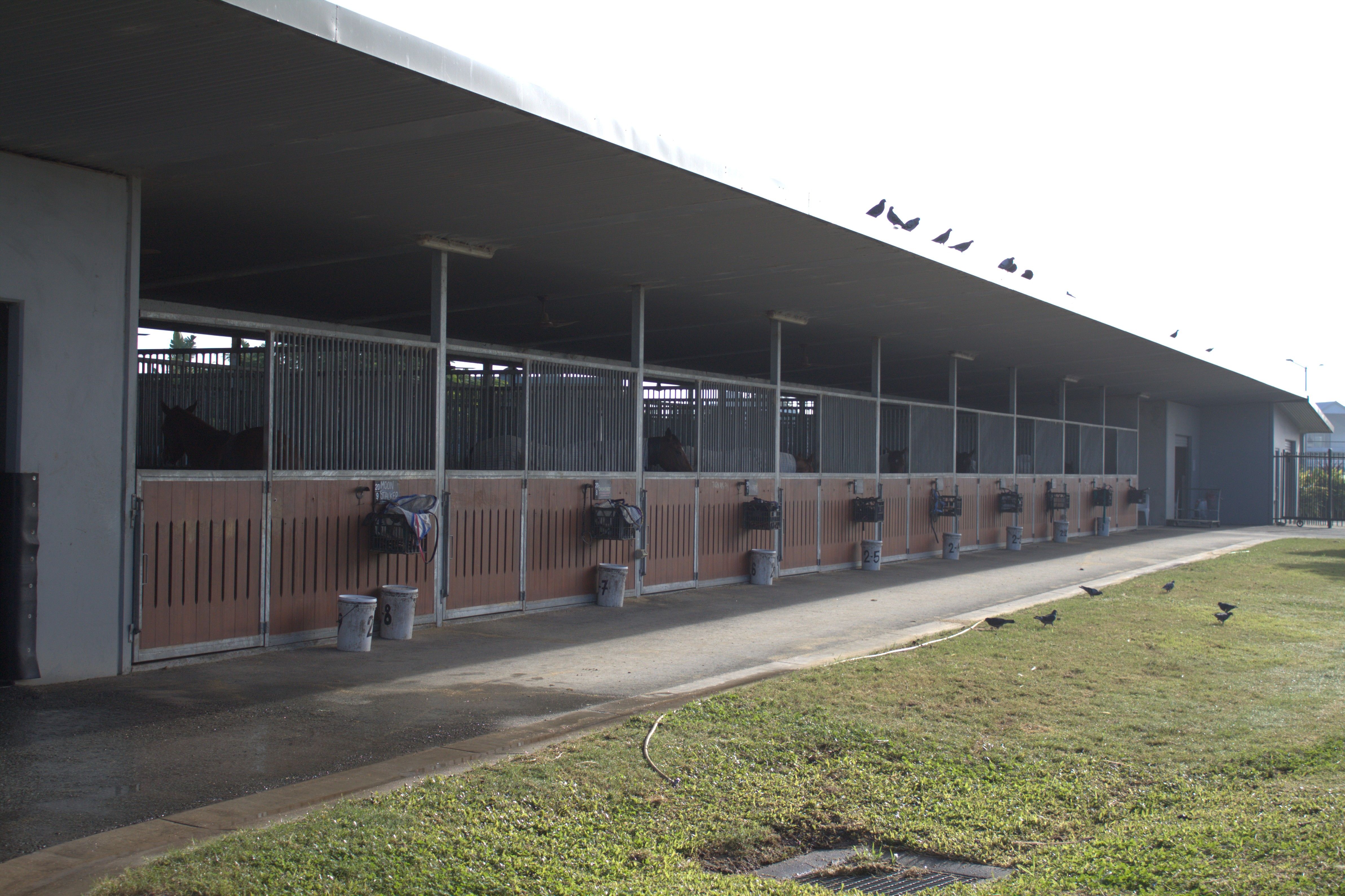 EAGLE FARM