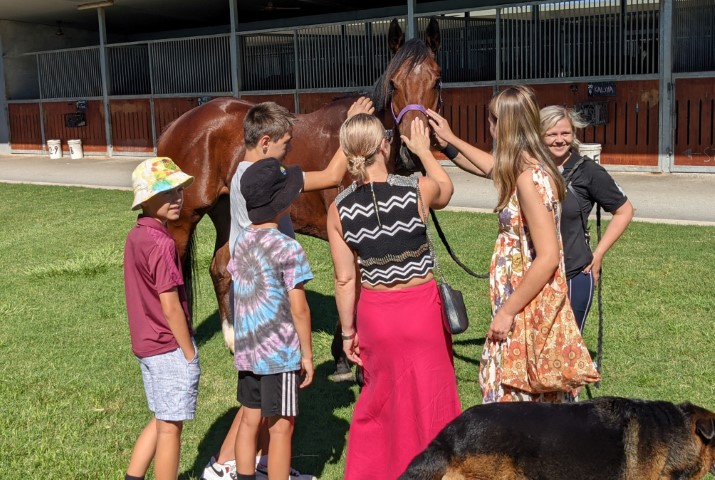 Adrenaline_Thoroughbreds_Meet_Your_Horse